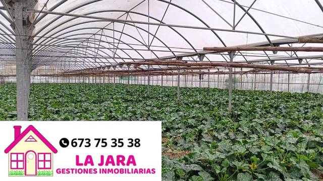 Terreno en Venta en El Espejo. Punta del Águila en Las Palmeras - Dehesilla