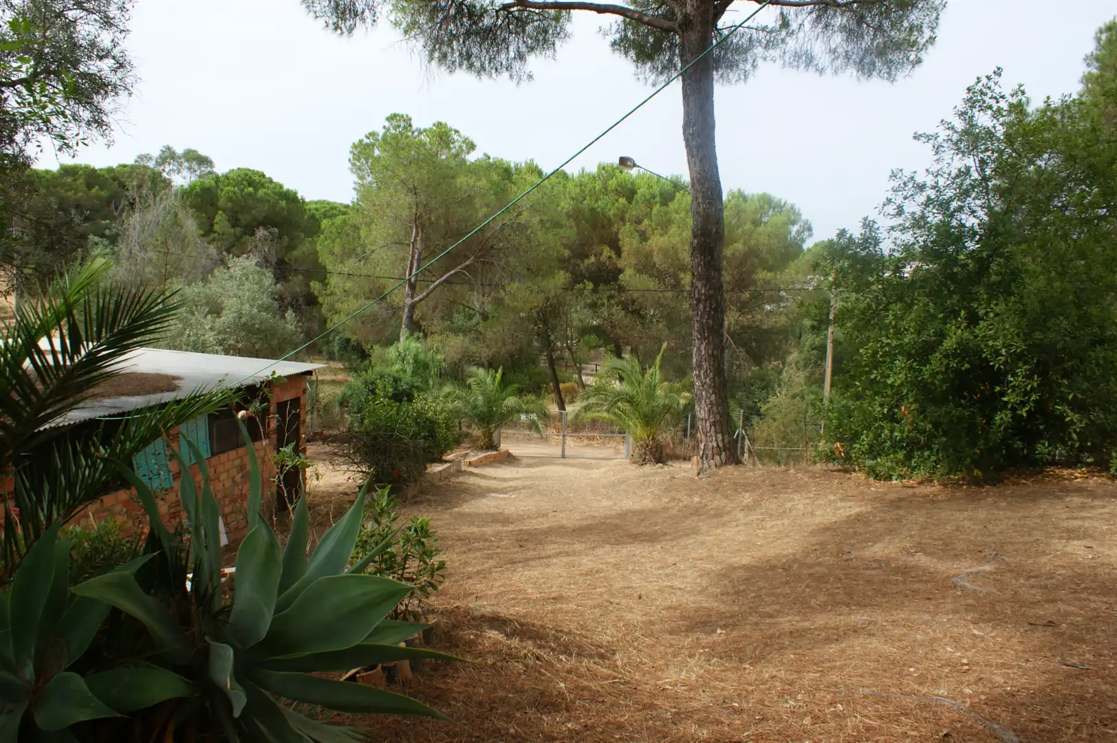 Chalet con jardín en venta en Valverde del Camino, imagen 20