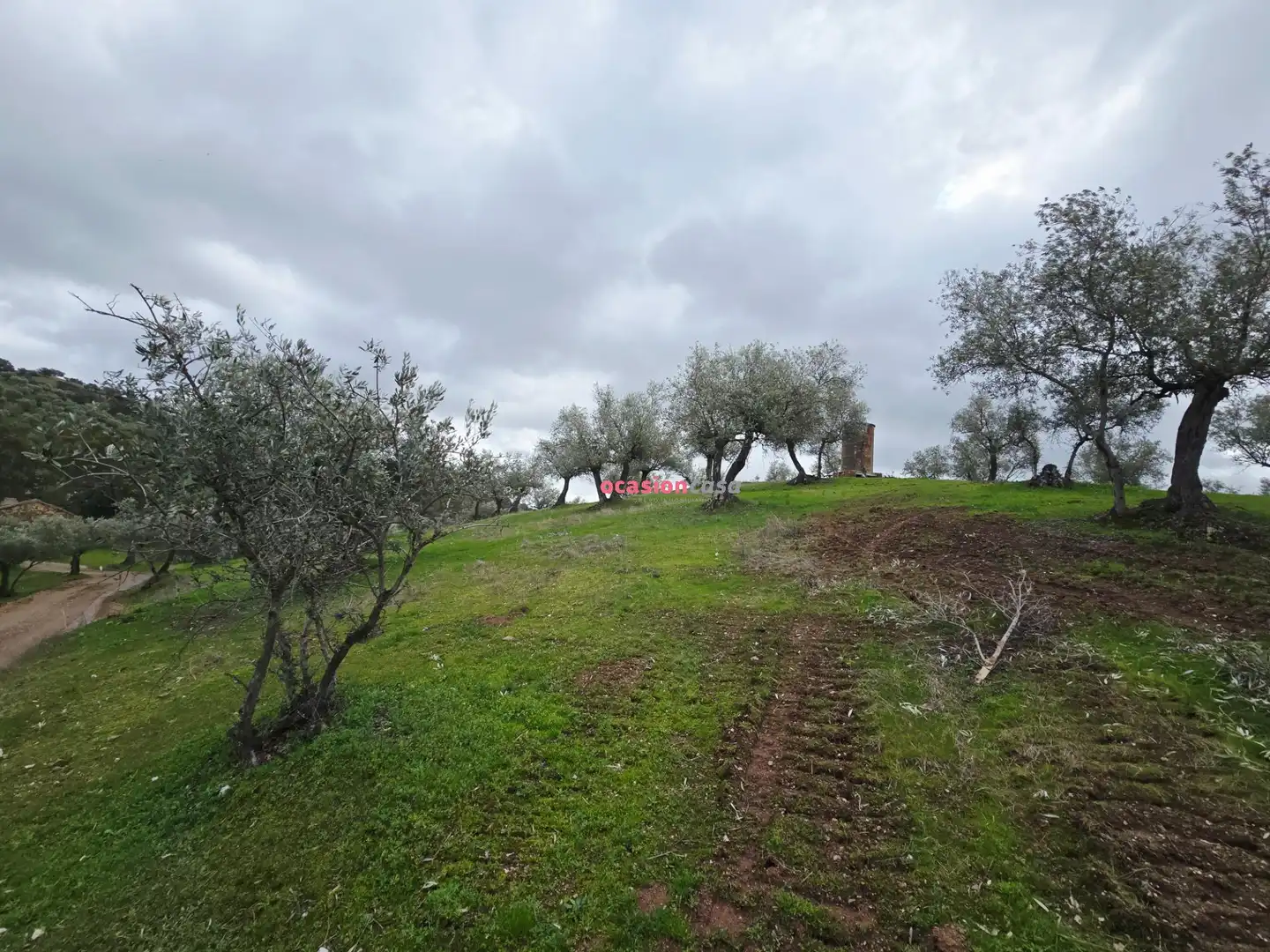 Casa rústica en venta en Pozoblanco, imagen 31