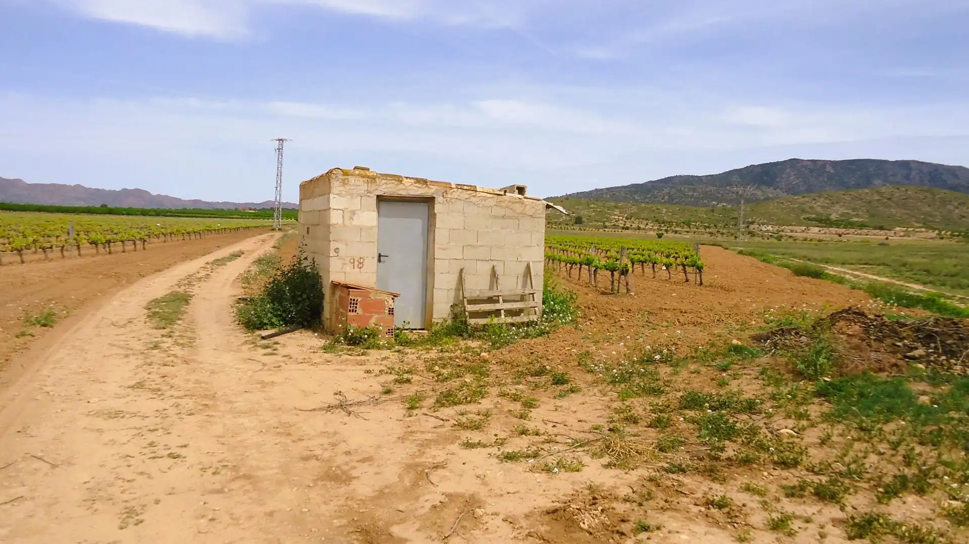 Terreno rústico en venta en El Pinós / Pinoso
