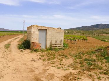 Rustikales Grundstück zum Verkauf in El Pinós / Pinoso