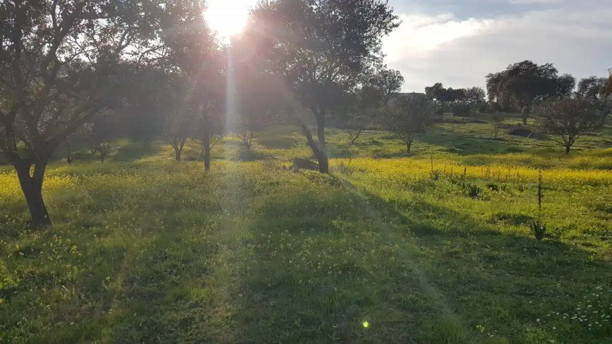 Terreni e lotti in vendita a Calle del Hortelano, imagen 4