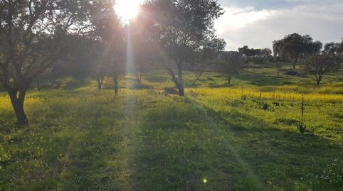 Foto 4 de Residencial en venda a Calle del Hortelano, Dehesilla de Calamón - Campomanes, Badajoz