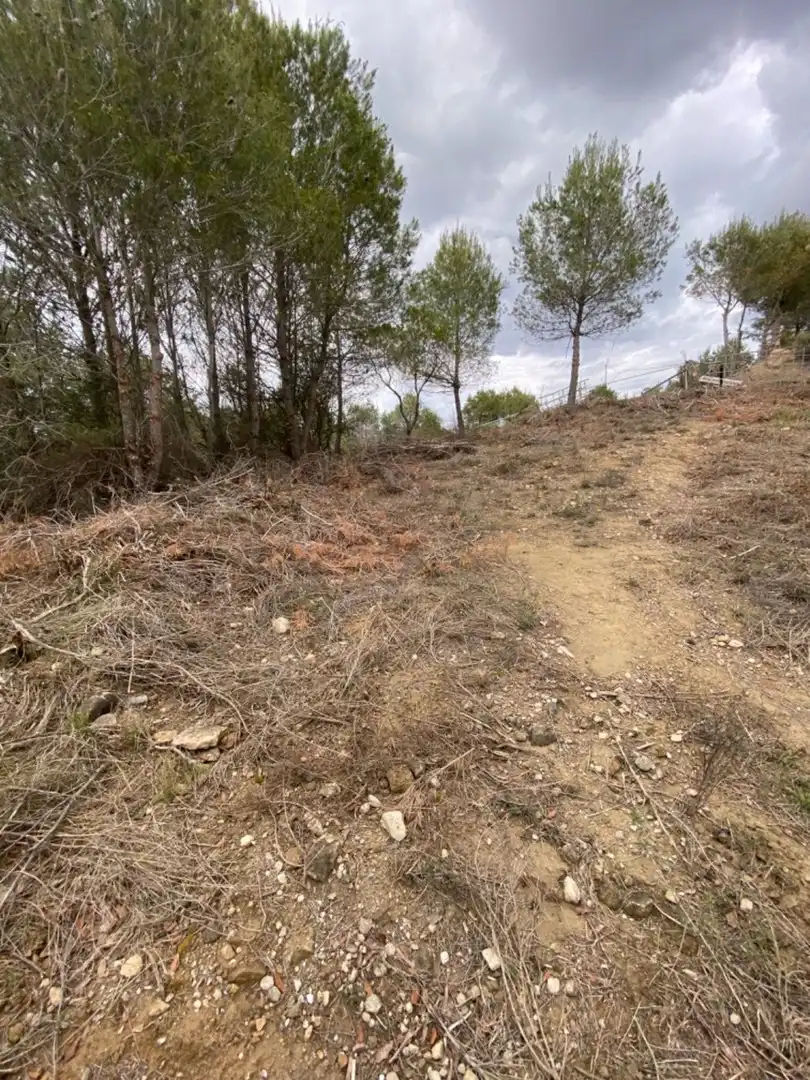 Terreny residencial en venda a El Pont de Vilomara i Rocafort, imagen 10