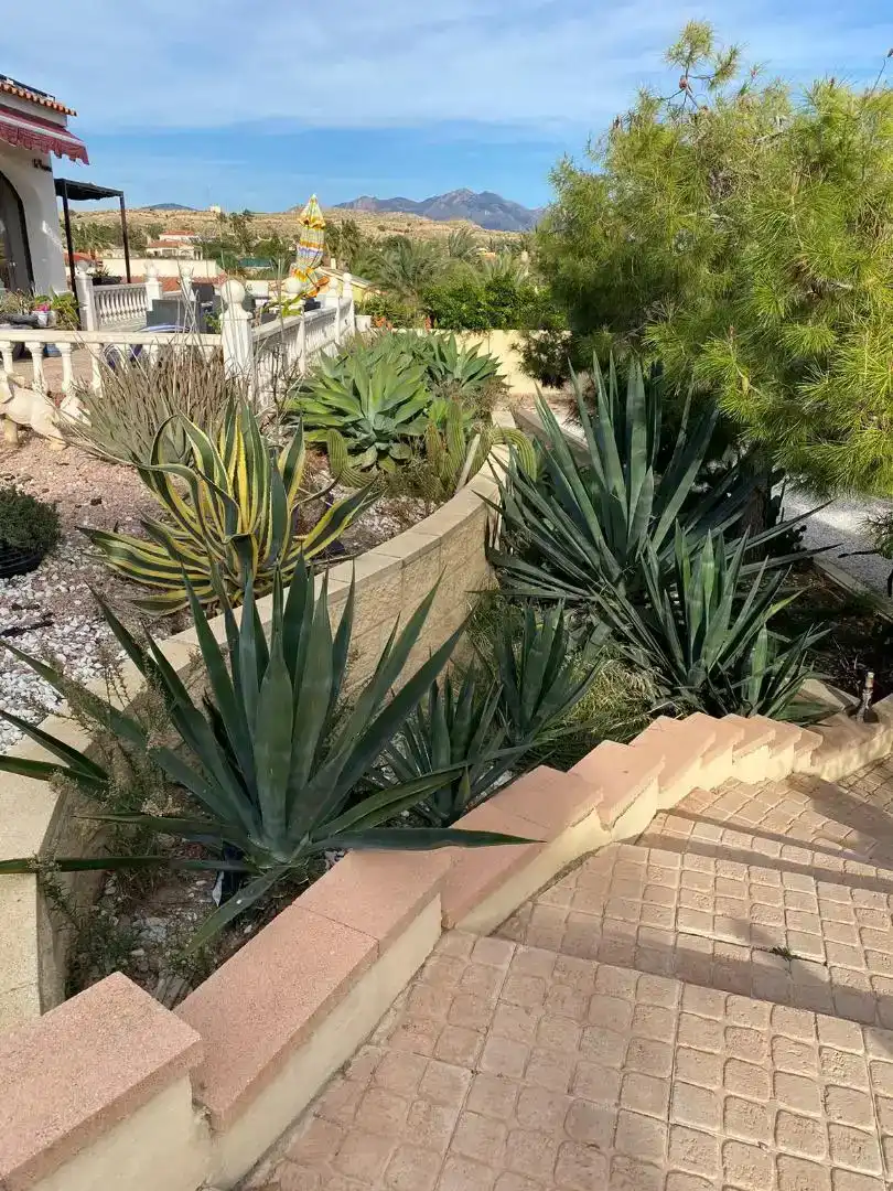 Jardí de Casa o xalet en venda en Mutxamel amb Aire condicionat, Piscina i Balcó