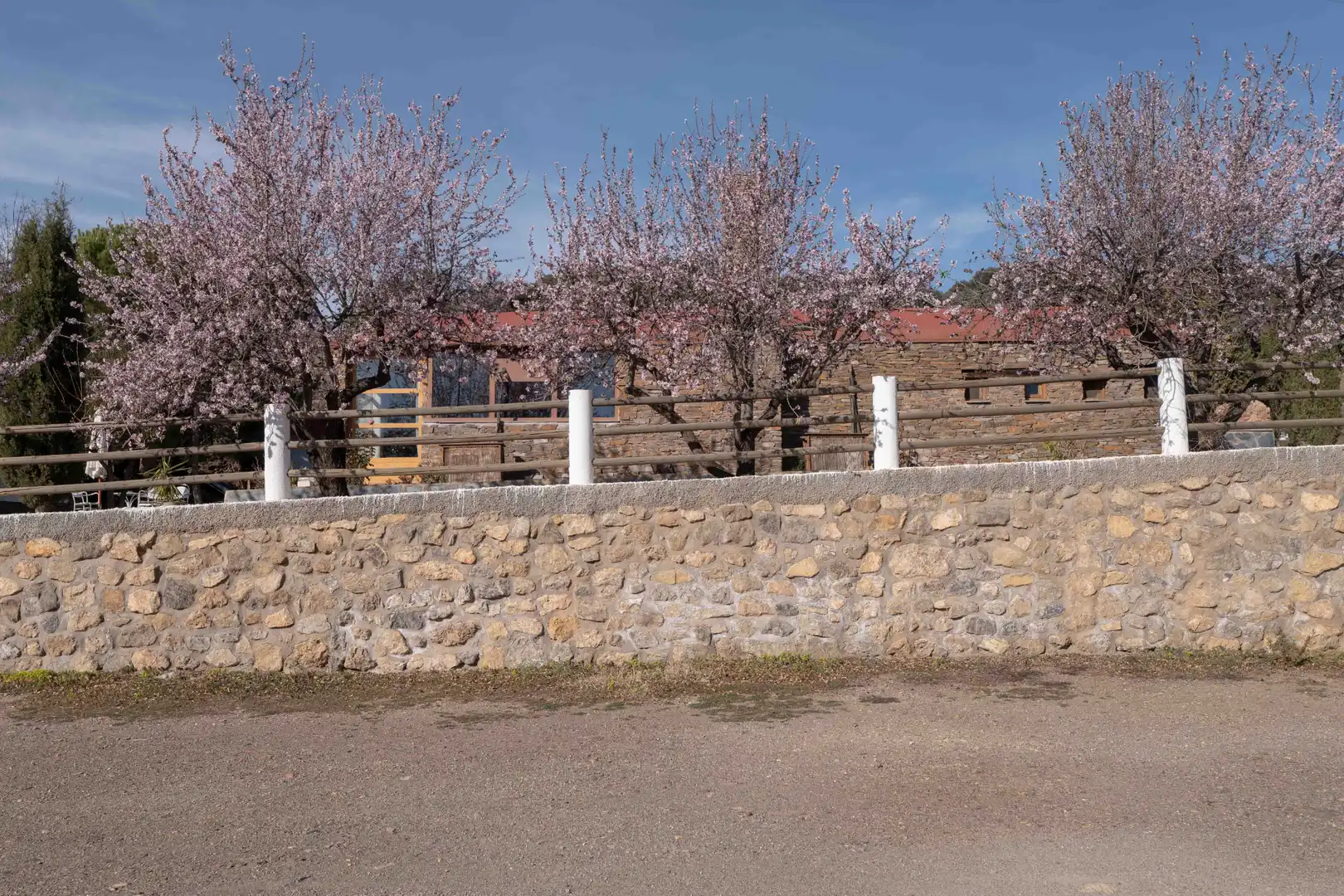 Vista exterior de Finca rústica en venta en Nevada con Aire acondicionado, Jardín privado y Terraza