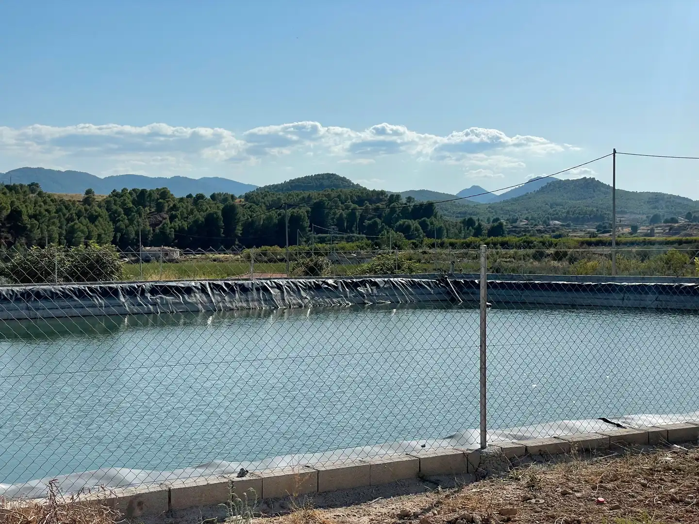 Terreno rustico in vendita a Cehegín, imagen 2