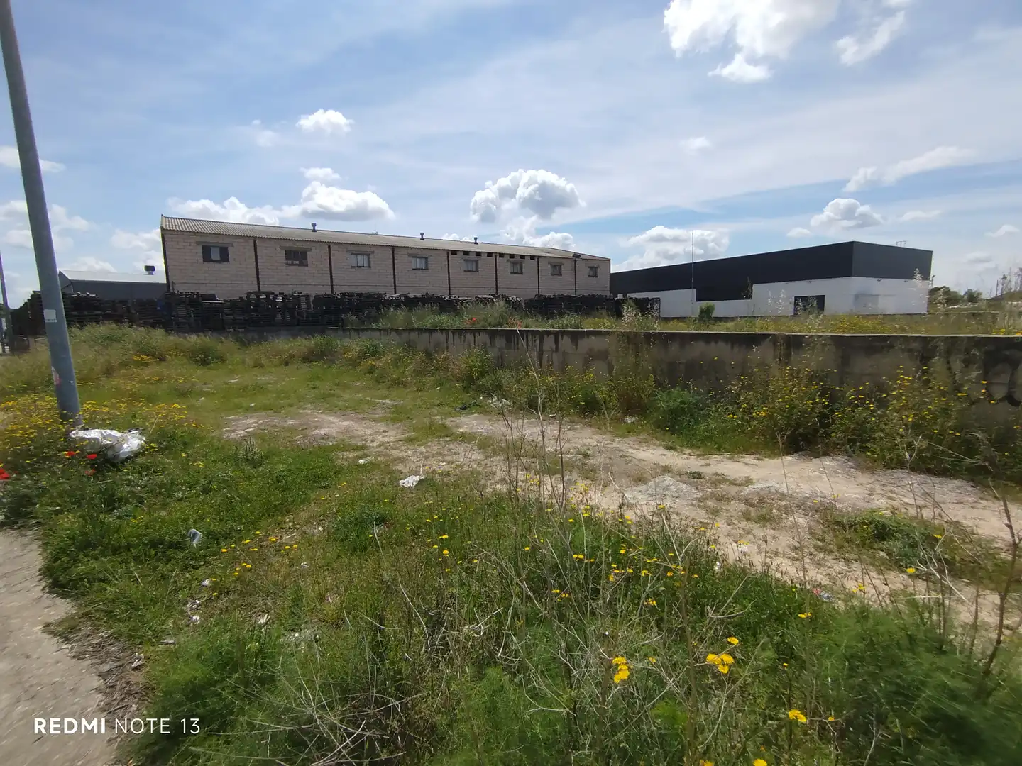 Industriegebäude zum Verkauf in Zona Industrial Borreguno-Camporrosso, imagen 13