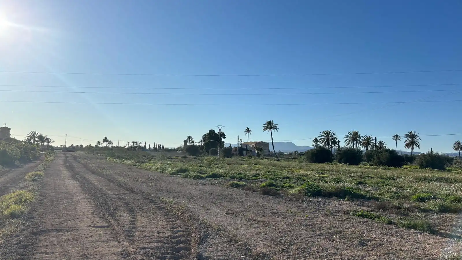 Grundstücke zum Verkauf in Elche / Elx