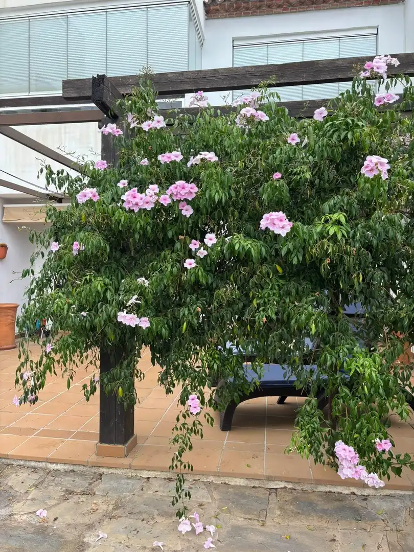 Adosado con piscina en venta en Casares Golf - Casares del Sol, imagen 28