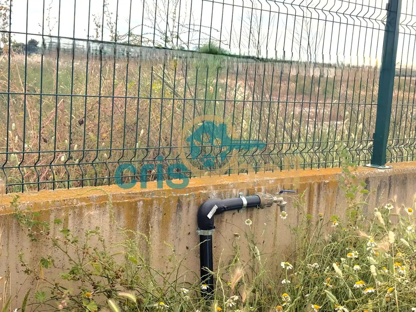 Rustikales Grundstück zum Verkauf in Pedanías Centro, imagen 10