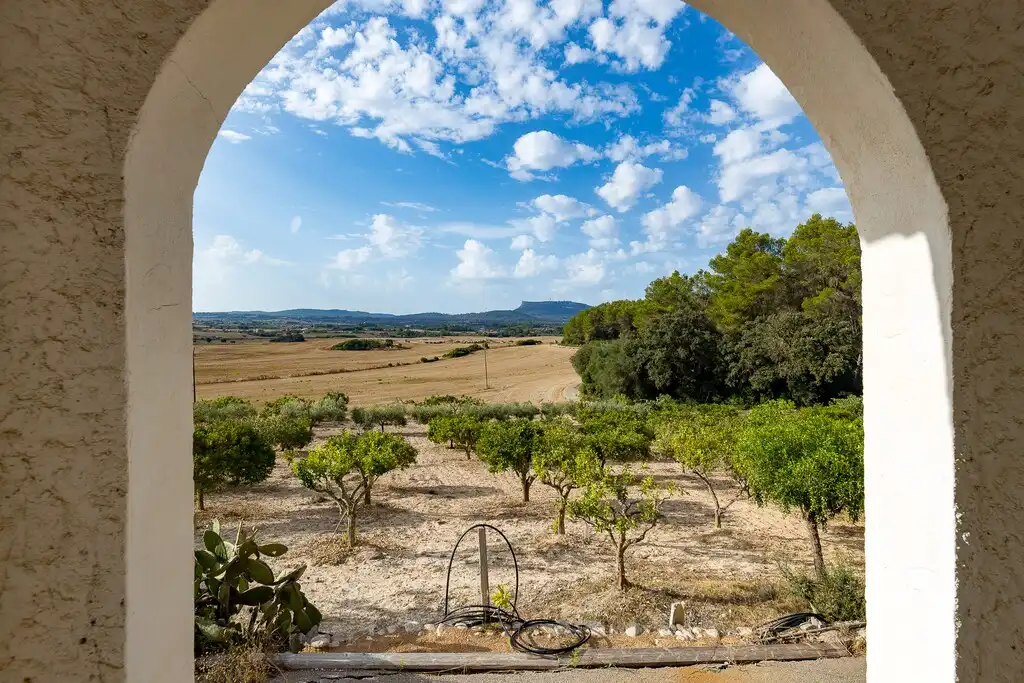 Casa rustica con giardino in vendita a Algaida, imagen 5