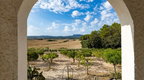 Foto 5 de Finca rústica en venta en Algaida, Illes Balears