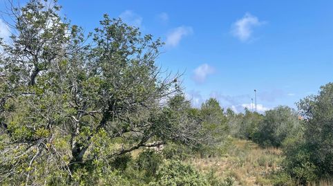 Foto 5 de Residencial en venta en Poble, Mont-roig del Camp