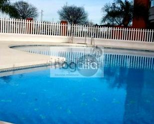 Swimming pool of Flat to rent in  Sevilla Capital  with Air Conditioner, Terrace and Furnished