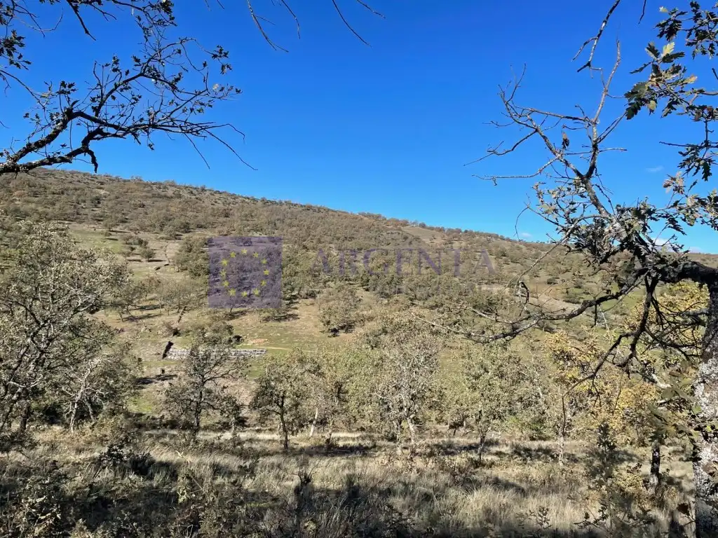 House for sale in Diseminados Carrascal, imagen 37