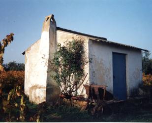 Vista exterior de Finca rústica en venda en Almonte