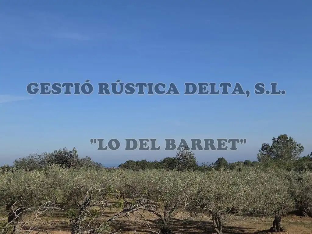 Vista exterior de Finca rústica en venda en L'Ampolla amb Terrassa