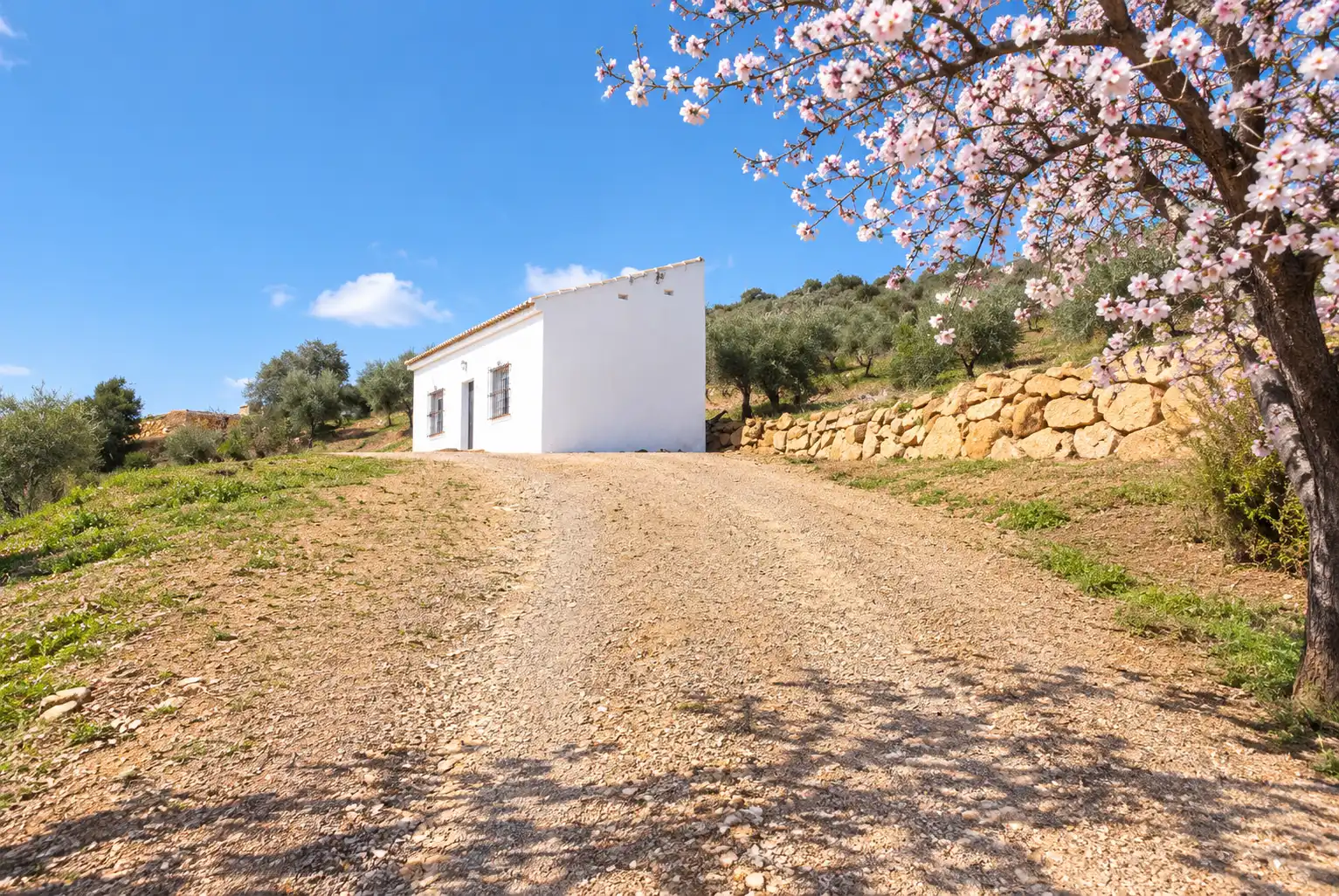 Terreno rustico in vendita a N/A, imagen 3