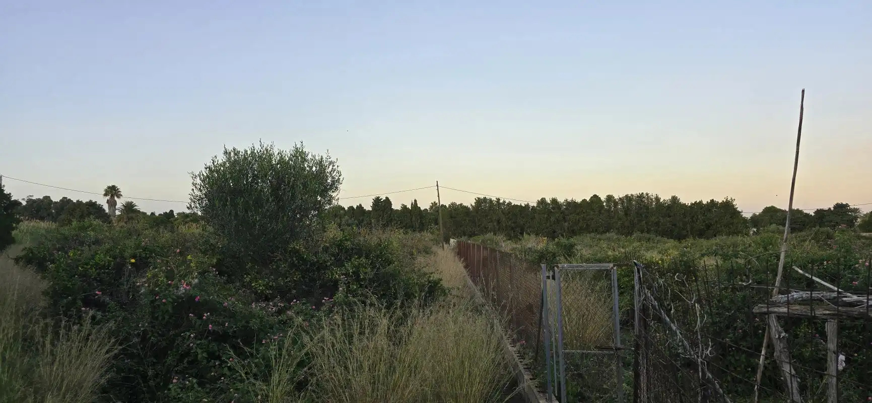 Grundstücke zum Verkauf in Dénia