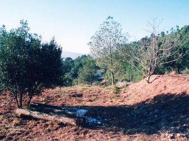 Terreni e lotti in vendita a Rellinars