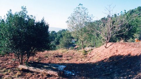 Parcella edificable de 946 m2.