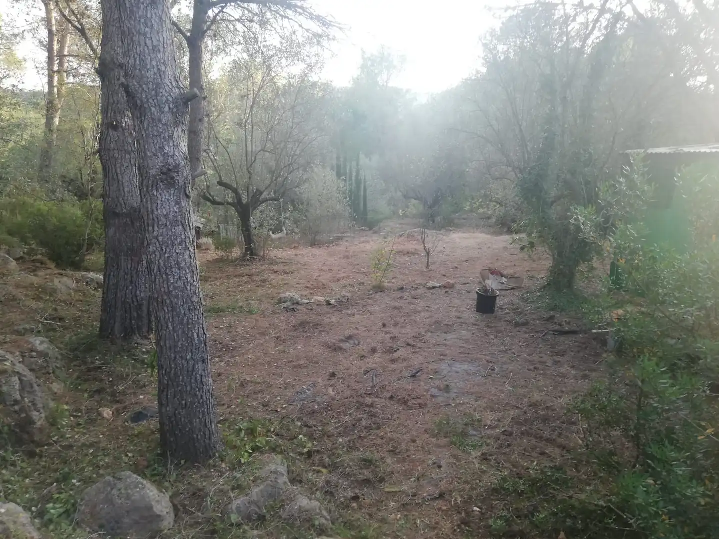 Rural land for sale in Vilallonga / Villalonga, imagen 6