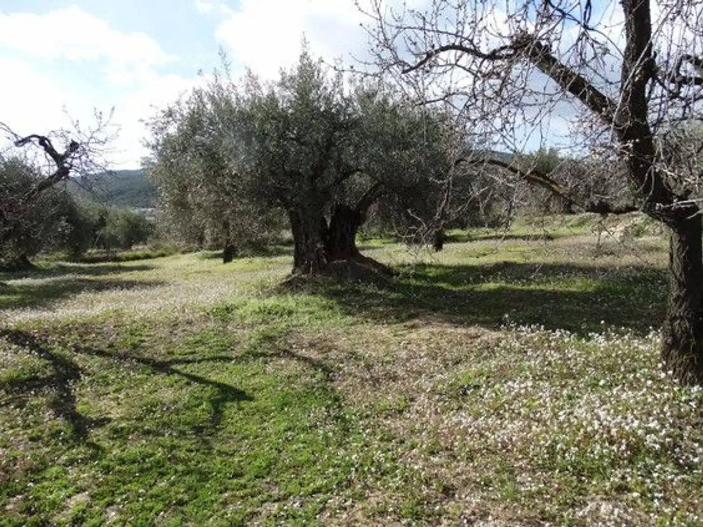 Terreni e lotti in vendita a Moratalla, imagen 15