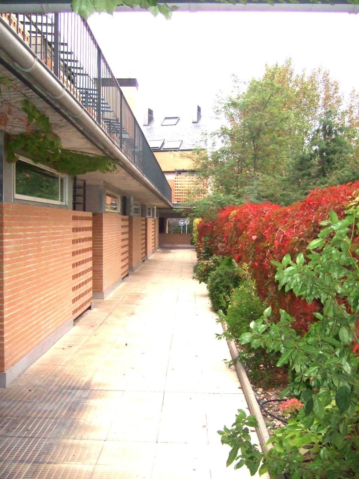 Duplex to rent in Casco Antiguo