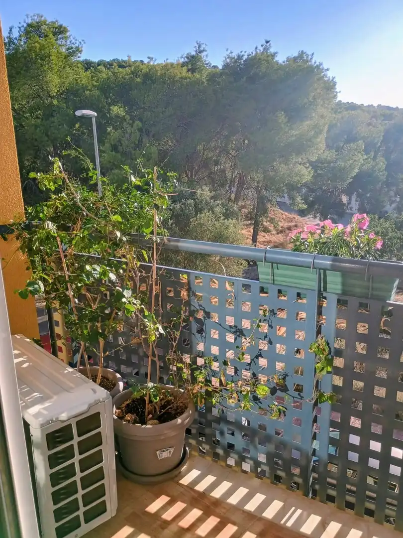 Appartement avec ascenseur à louer à CARRETAS 33, imagen 12