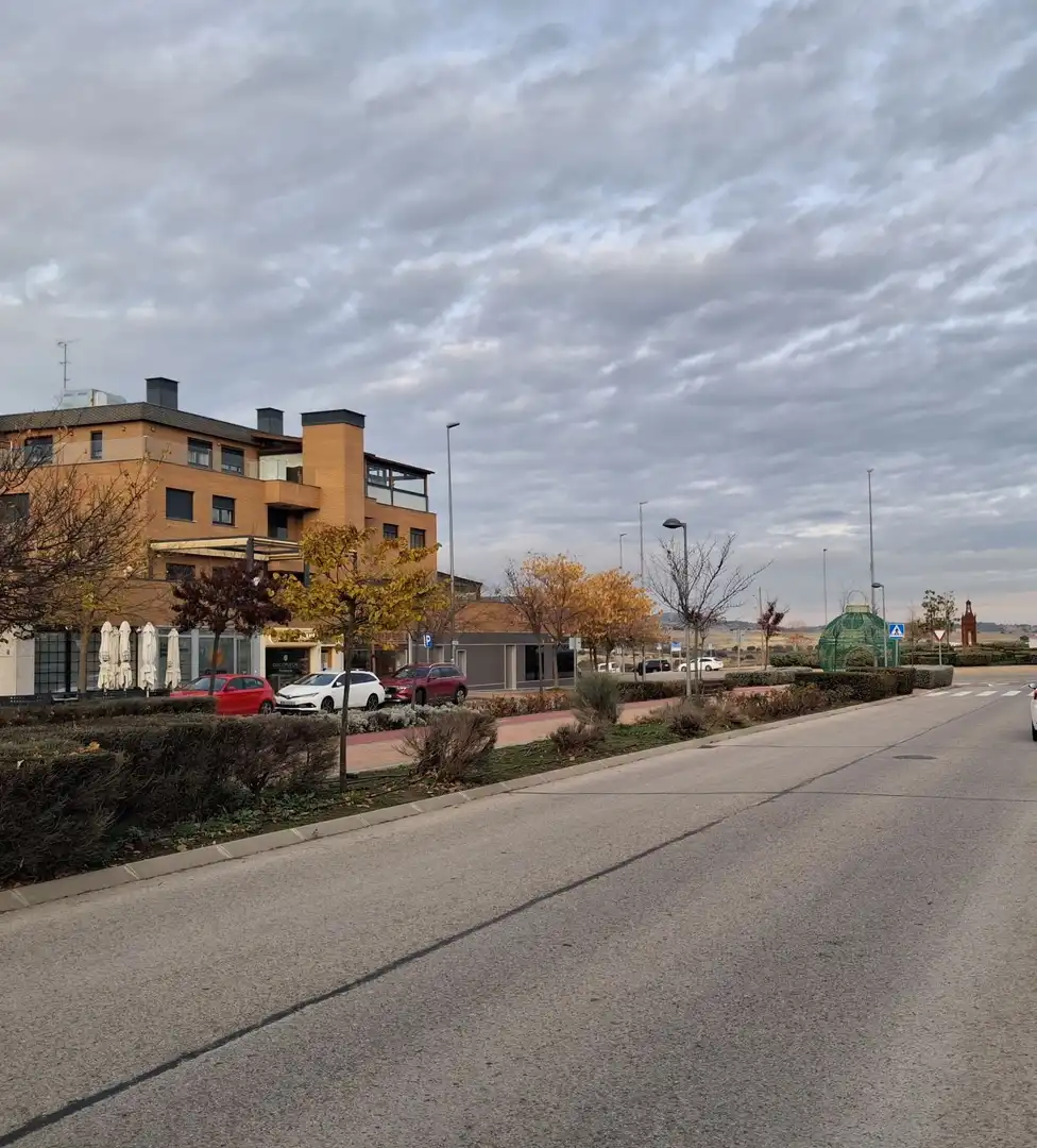 Vista exterior de Local de lloguer en Colmenar Viejo