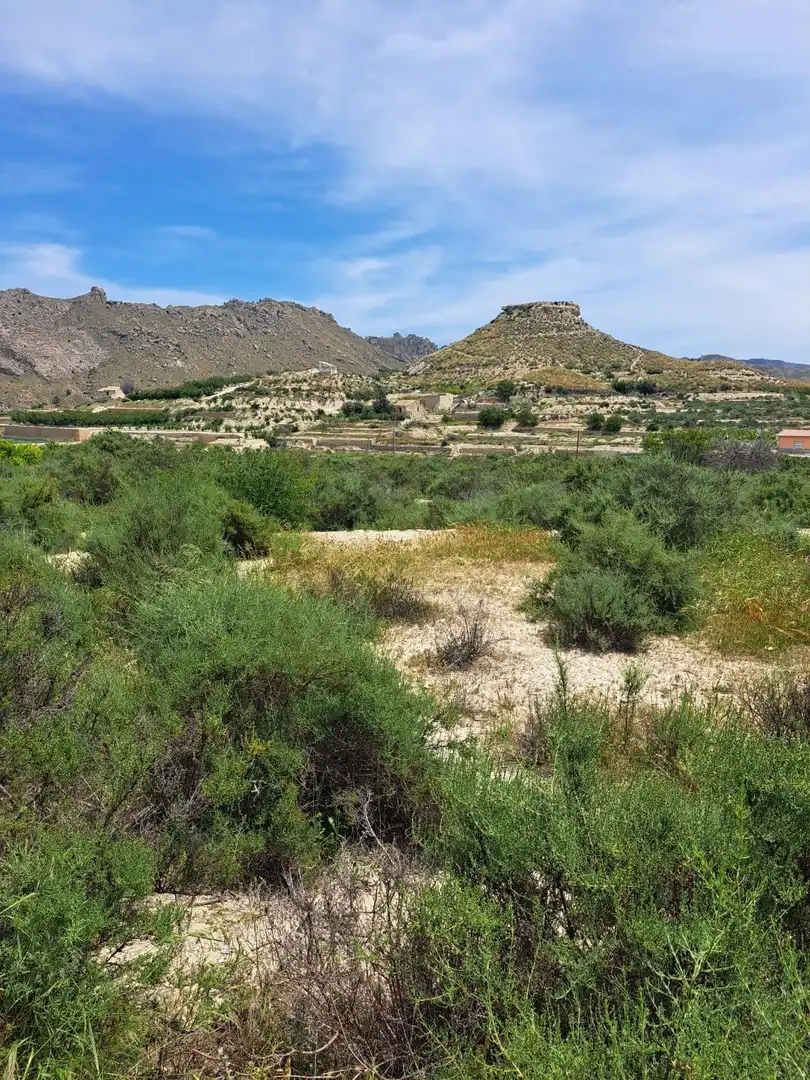 Residential land for sale in Abarán, imagen 10