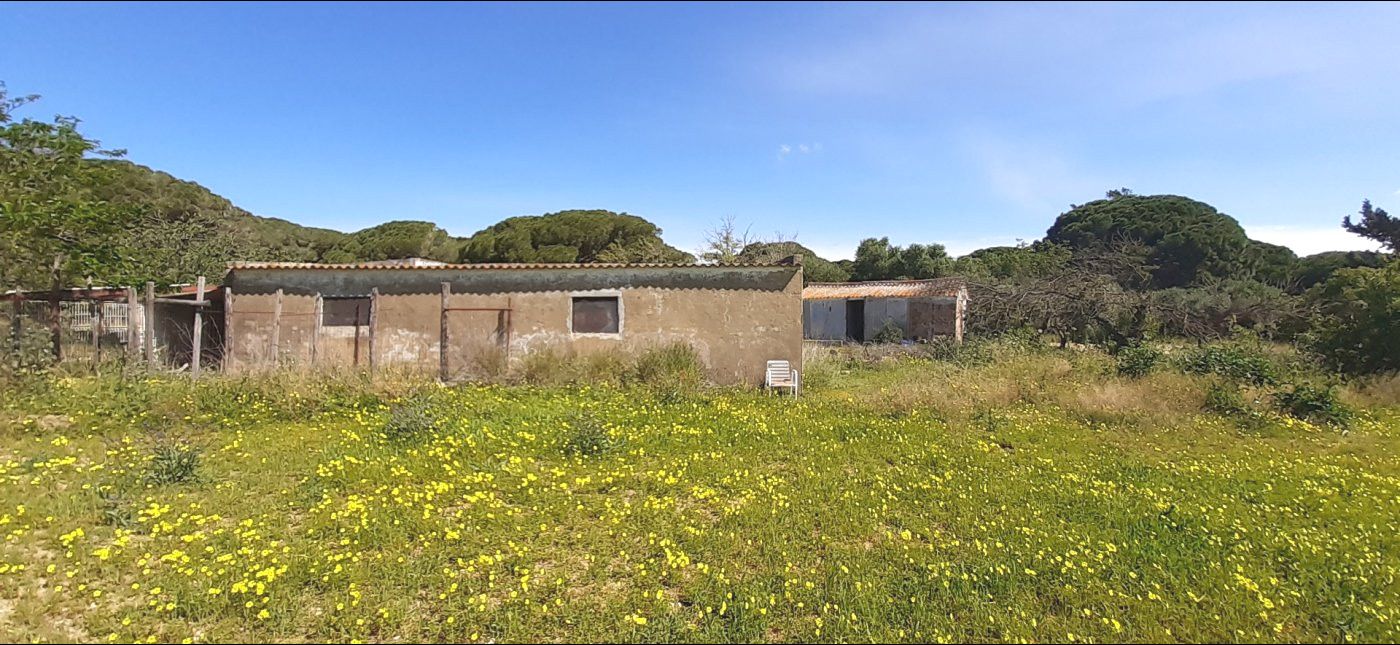 Country house for sale in Puerto Real