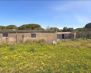 Finca rústica en venda en Puerto Real