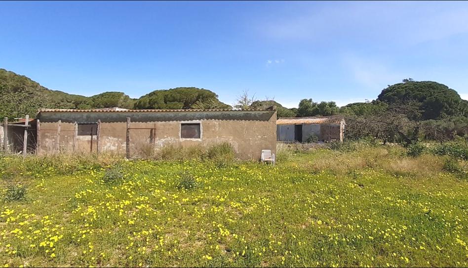 Foto 1 de Finca rústica en venda a El Almedral, Cádiz