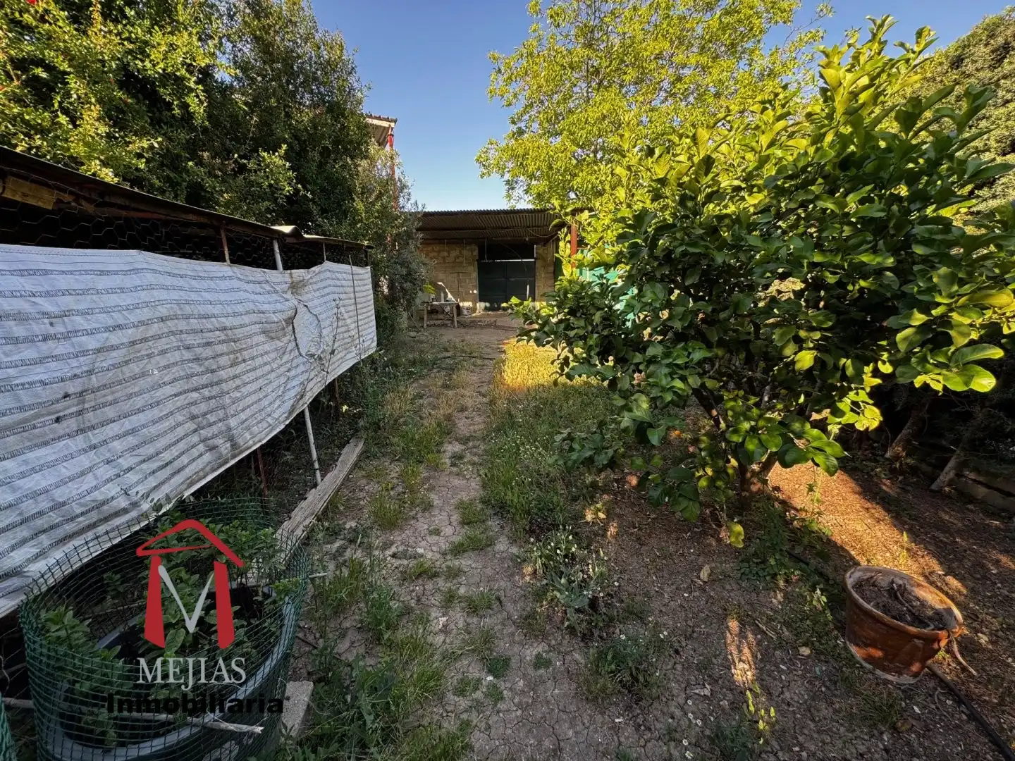 Lands and plots for sale in Centro, imagen 32