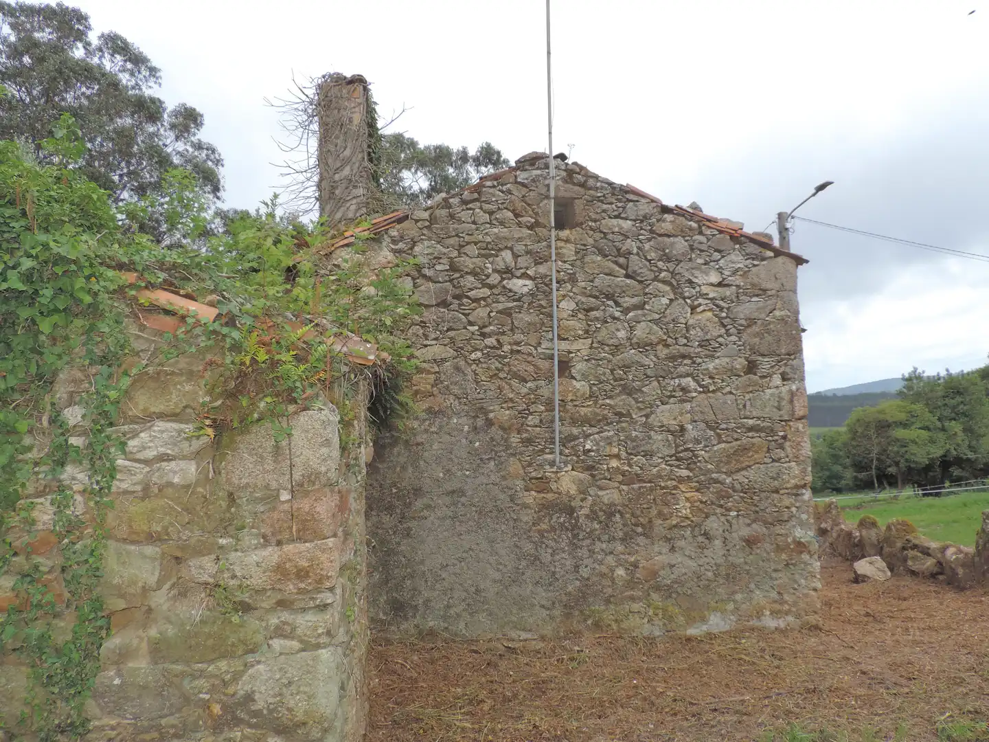 Vista exterior de Casa o chalet en venta en A Laracha   con Jardín privado