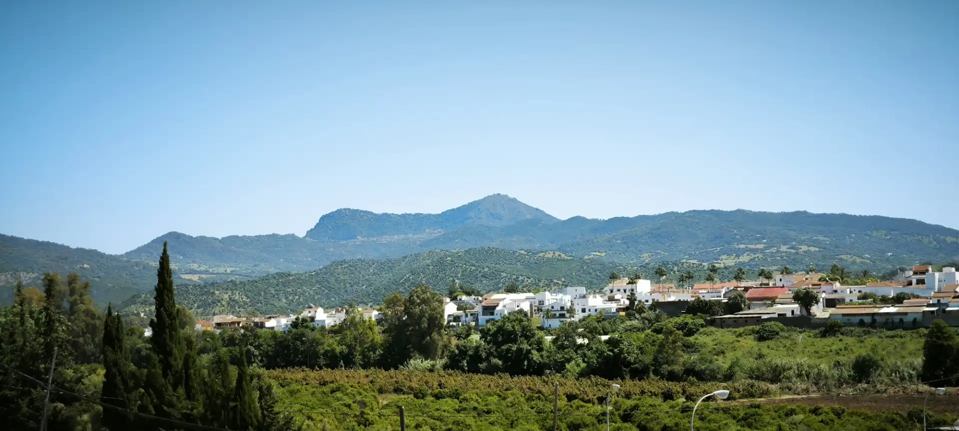 Vista exterior de Casa o xalet en venda en Jimena de la Frontera amb Piscina