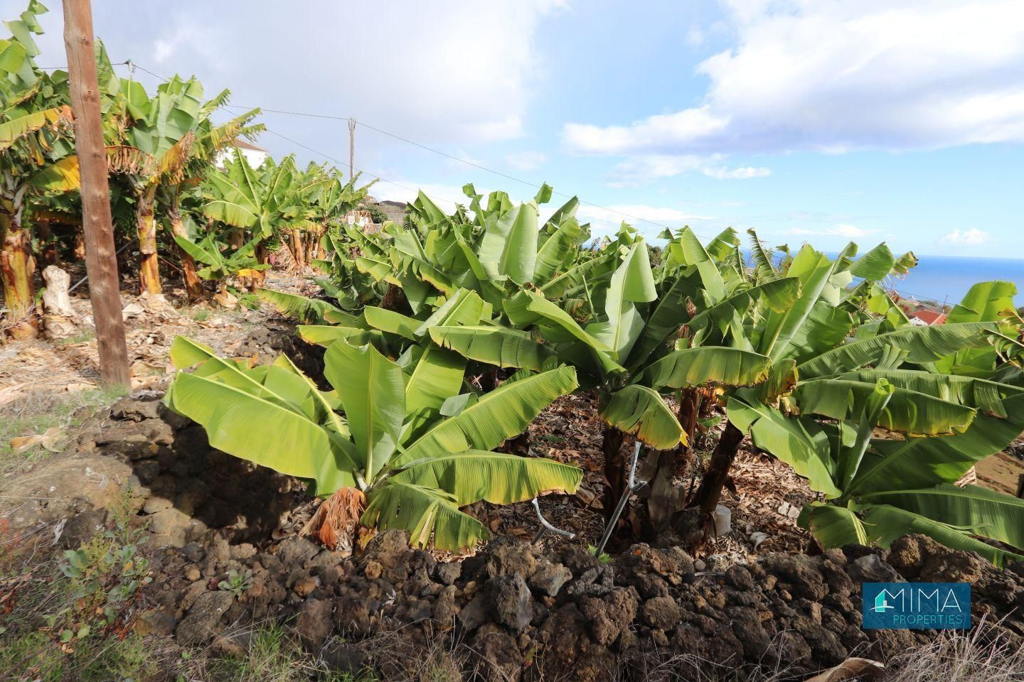 Land for sale in San Simón, Villa de Mazo