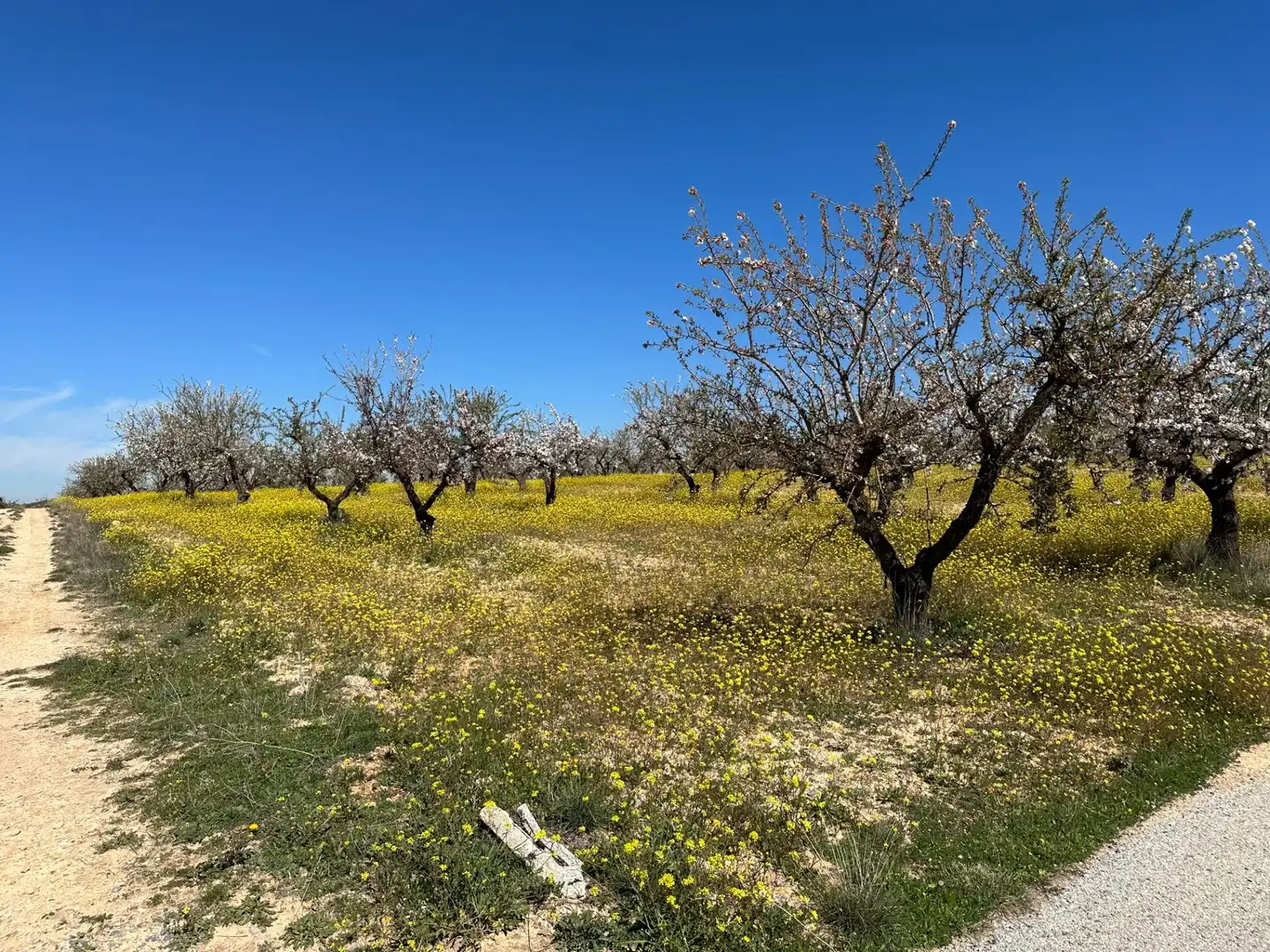 Terreno rustico in vendita a Dílar, imagen 16