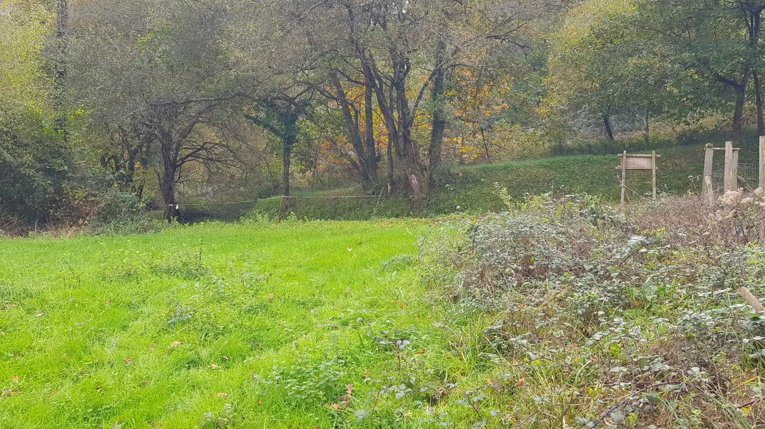 Terreni e lotti in vendita a Castañeda - Marimata, imagen 5