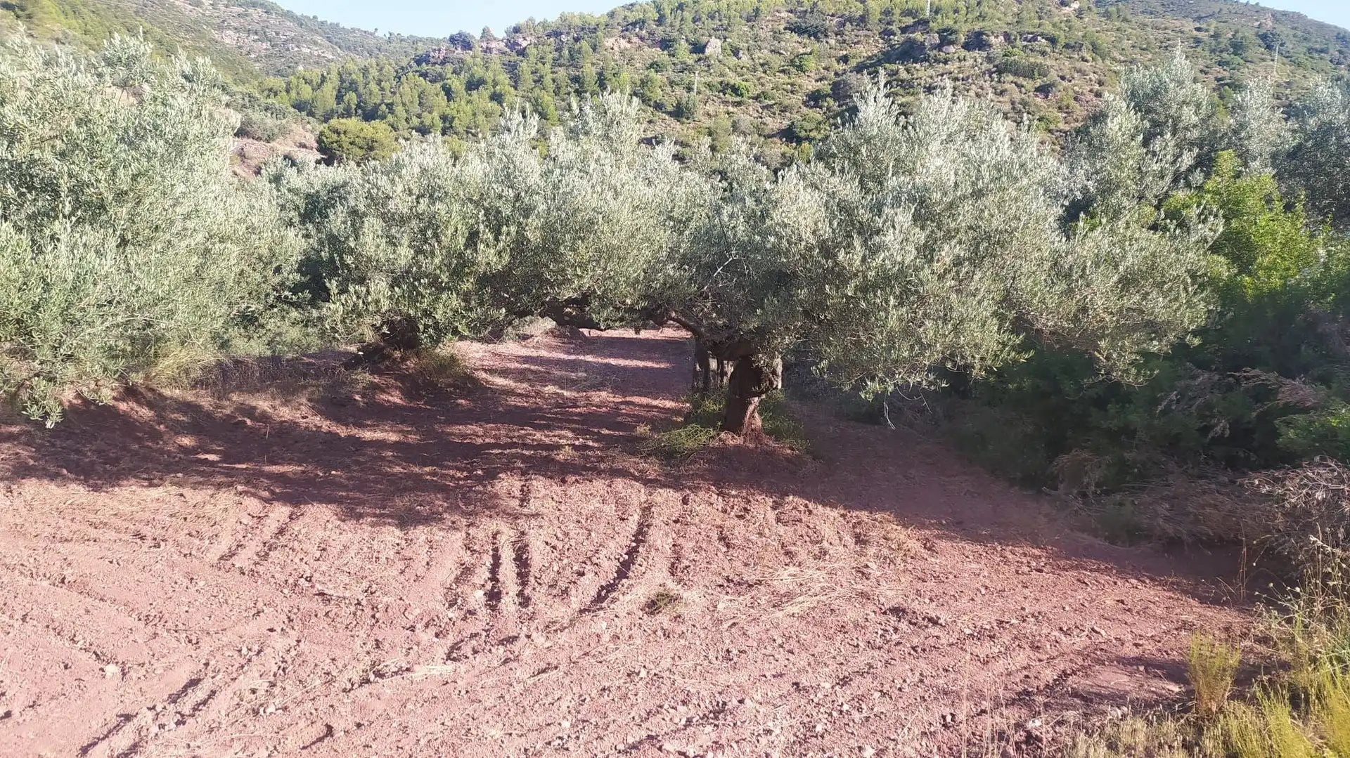 Residential land for sale in Gátova, imagen 2