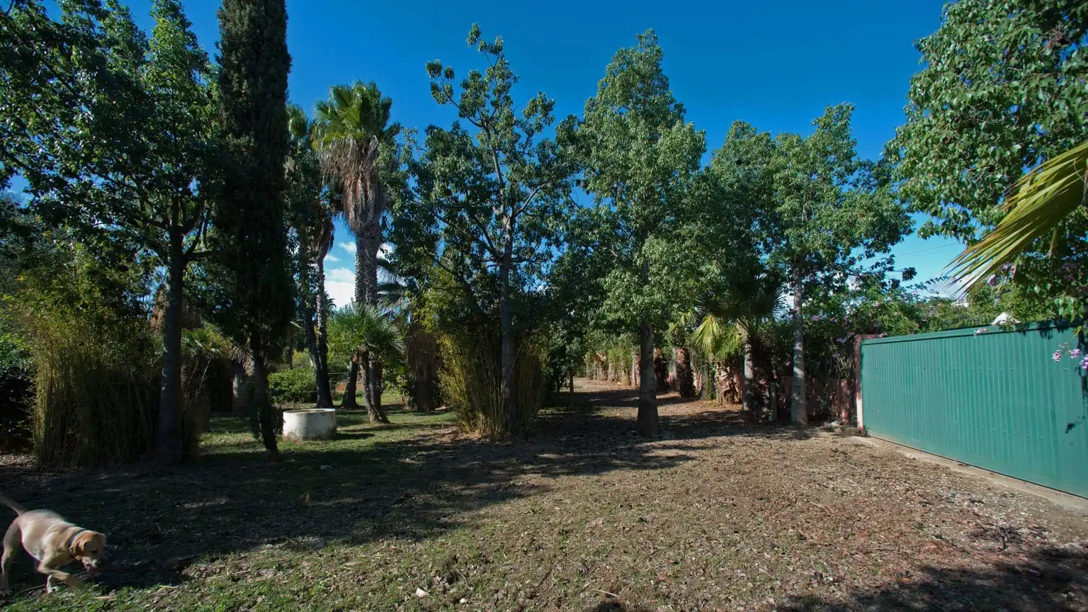 Terreno en venta en Estepona