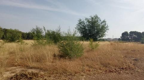 Foto 5 de Residencial en venta en San Pedro, Albacete