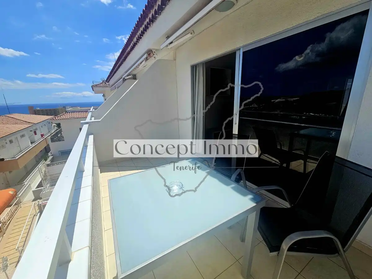 Monolocale con terrazza in vendita a Calle Finlandia, imagen 9