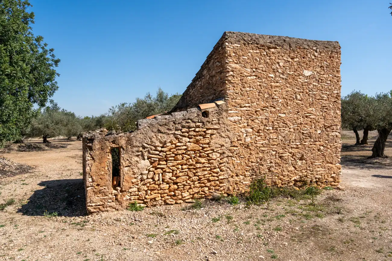 Terreno rustico in vendita a Camí Colomar 14