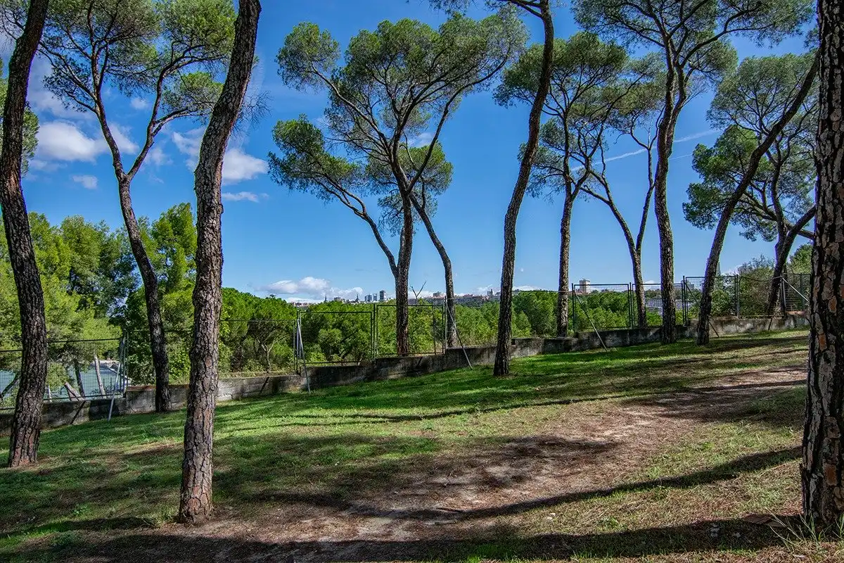 Garden of Flat for rent in Madrid  with Air Conditioner, Heating and Parquet flooring