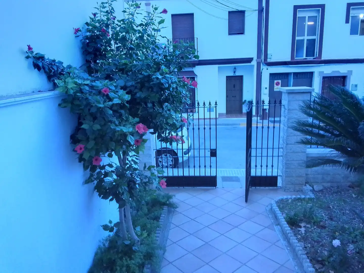 Vista exterior de Casa o chalet en venta en Prado del Rey con Jardín privado, Terraza y Amueblado