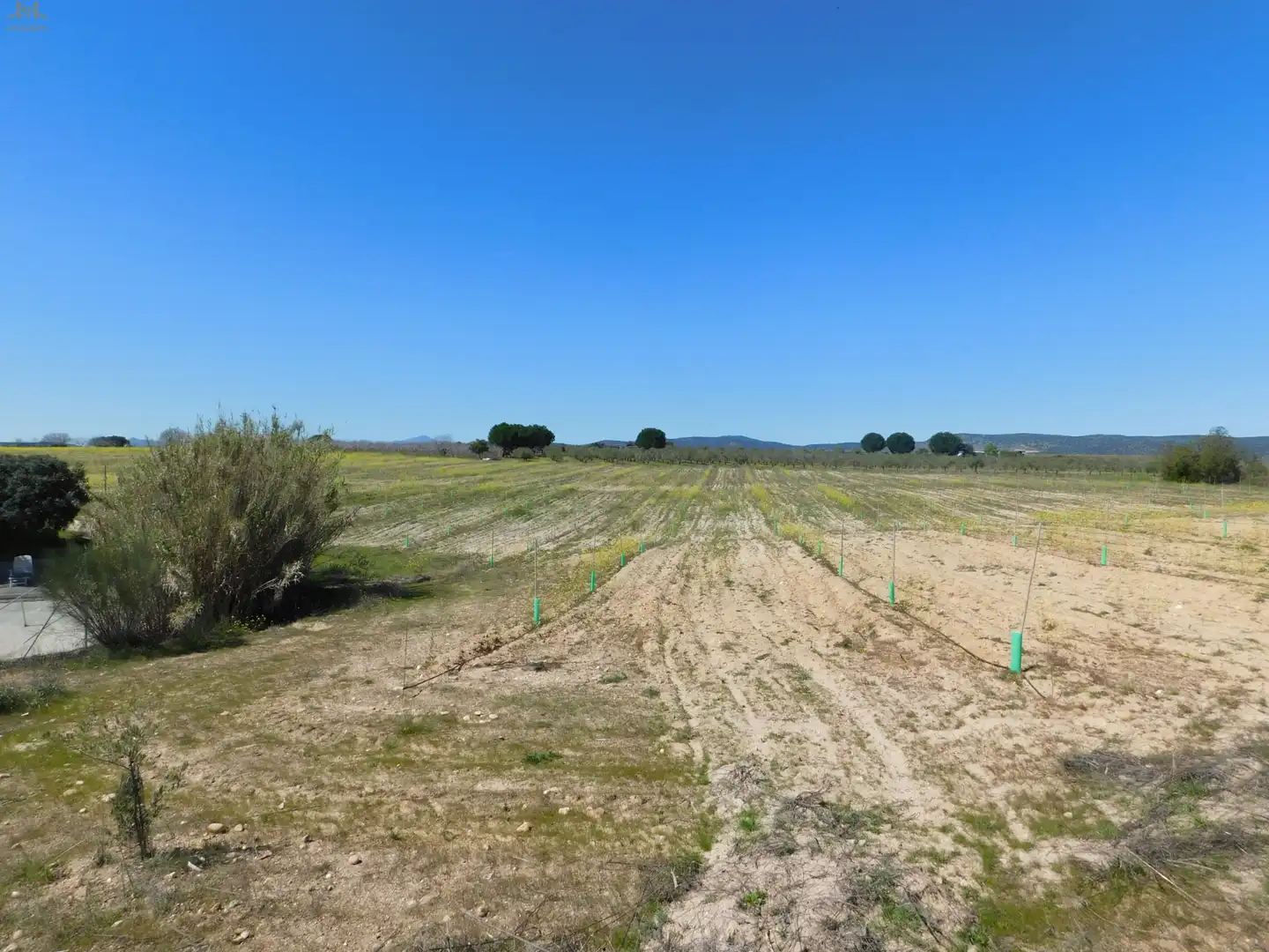 Terreno en venta en Villa del Prado