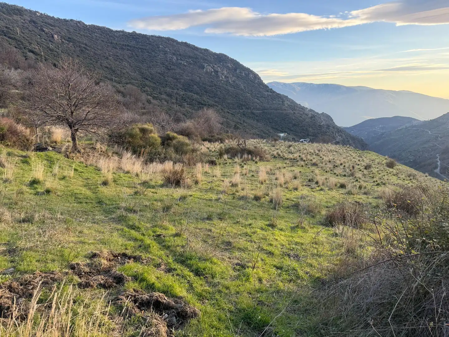 Rural land for sale in Bubión, imagen 14